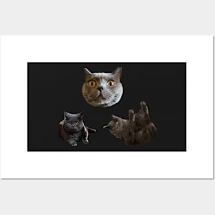 Tiny Chartreux Sticker Pack Posters and Art